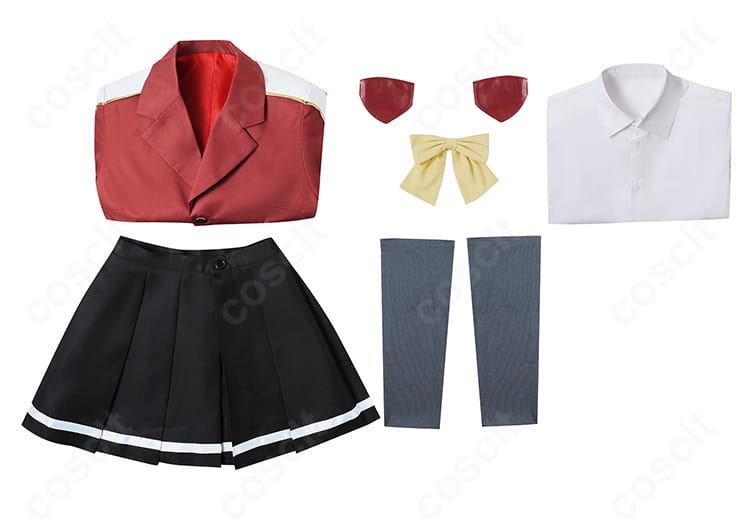 セット内容一式(コート、スカート、シャツ、スカーフ、髪飾り、靴下)を並べた構成写真