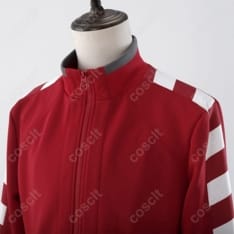 ペルソナ5 秀尽学園高校 ジャージ コスプレ衣装｜高再現で動きやすくイベント撮影に最適 - 4枚目の画像（サムネイル）