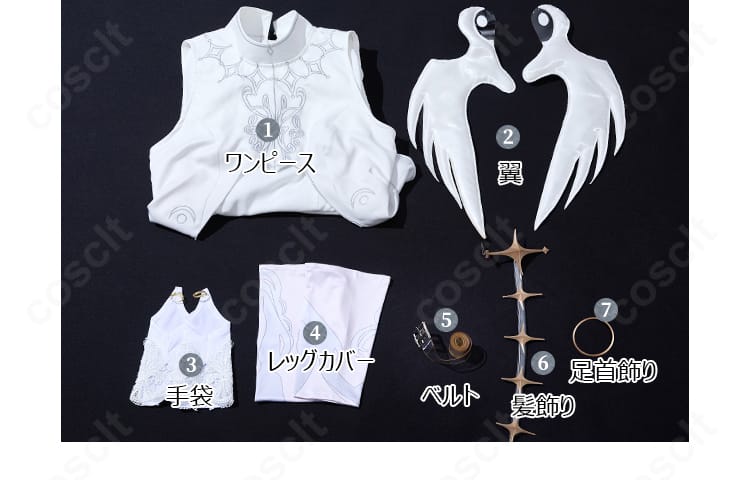 コスプレ衣装一式のセット内容展示。ワンピース、翼、手袋、レッグカバー、ベルト、髪飾り、足首飾りを並べた写真。