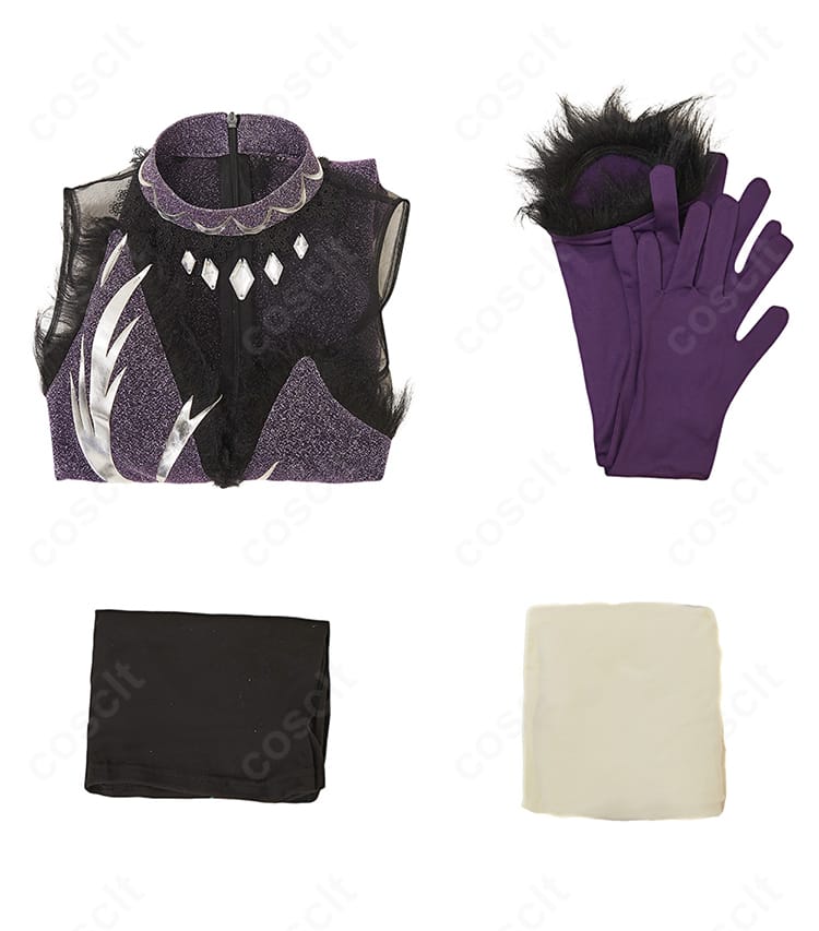 セット内容一式。ワンピース、ショートレギンス、手袋、タイツを整然と配置した内容紹介