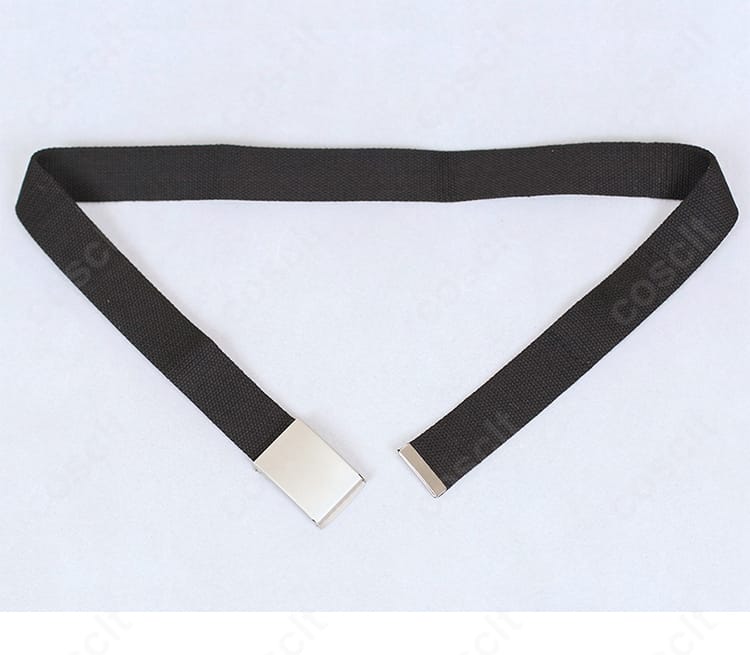 ベルト部分の拡大。バックル形状とベルト幅、通し方のディテール。