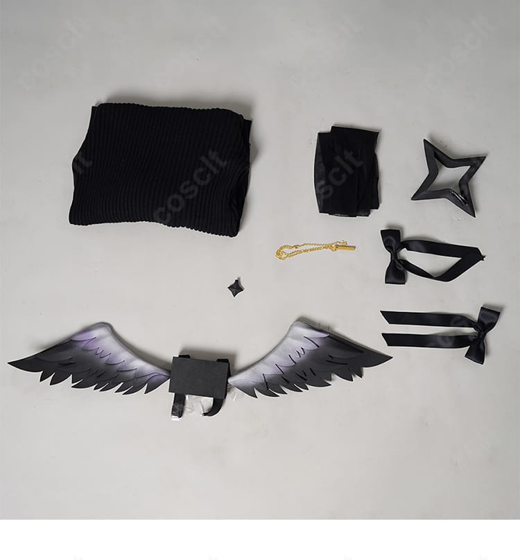 セット内容一式（トップス、靴下、翼、髪飾り、ネックレス）。到着後すぐにコーデが完成する構成