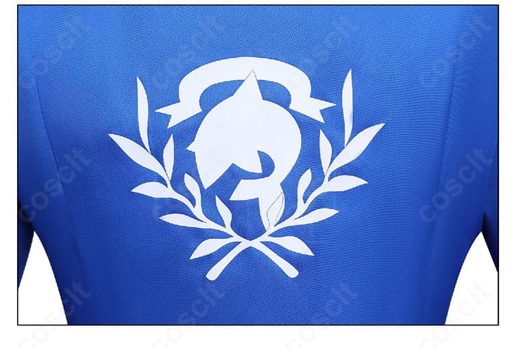 雨海ルカ コスプレ衣装の背面模様ディテール。ヨーク切替と背中心のステッチラインを確認できる。