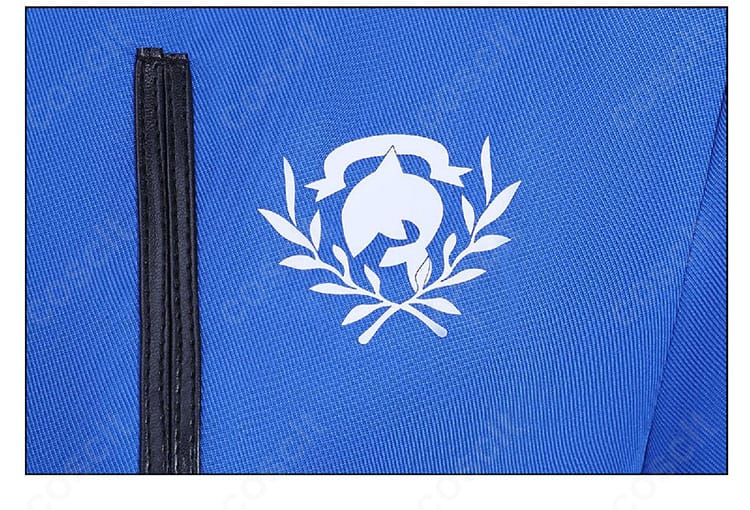 雨海ルカ コスプレ衣装の模様と装飾ディテール。フロントの意匠配置とパネル切替の縫製が分かる接写。