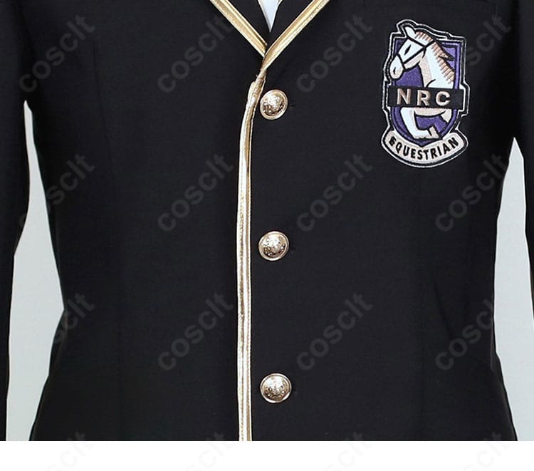 前立て装飾のアップ（金具・ボタンの質感）