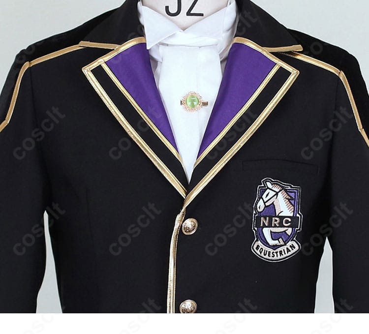 前立てとボタン装飾のクローズアップ