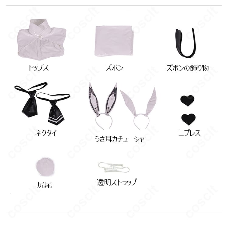 ブラン 逆バニー衣装 セット内容一式の平置き一覧
