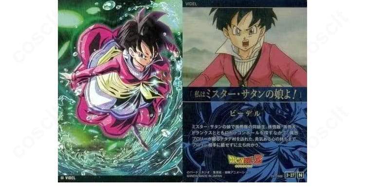 ビーデル ナタデ村コスプレ衣装の生地質感と縁取り装飾の詳細アップ