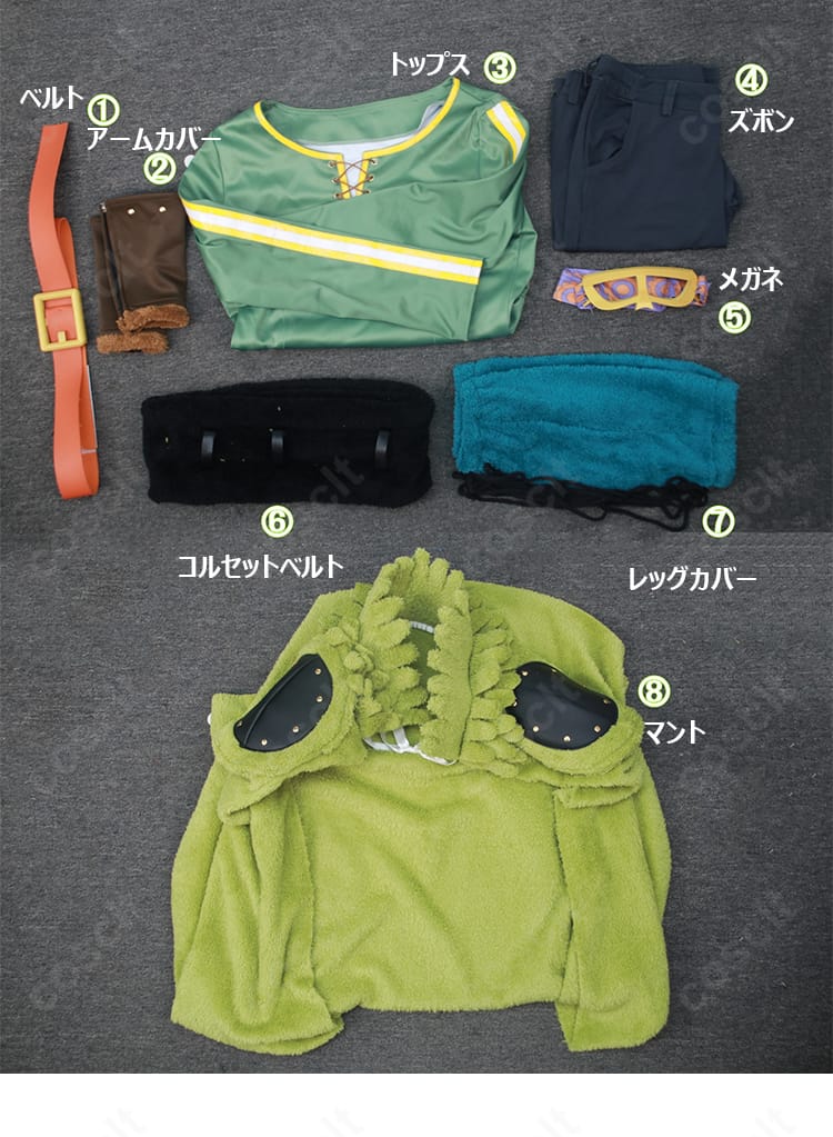 セット内容一式（ベルト、アームカバー、トップス、ズボン、メガネ、レッグカバー、コルセットベルト、マント）の平置き画像