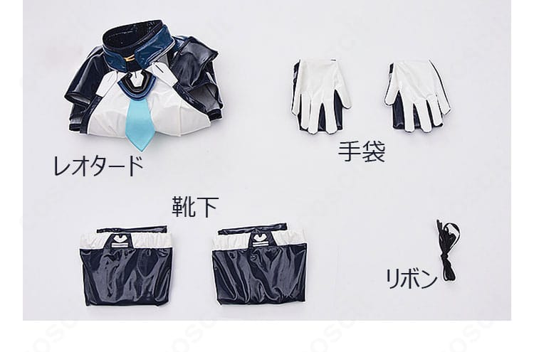 セット内容（レオタード、手袋、靴下、リボン）の一覧展示