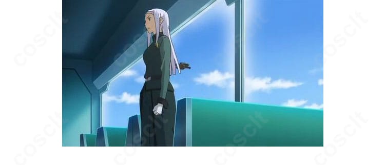 機動戦士ガンダム00 ソーマ・ピーリス アロウズ制服コスプレ衣装のサイドスタイル、オーバースカート付きボトムスの造形