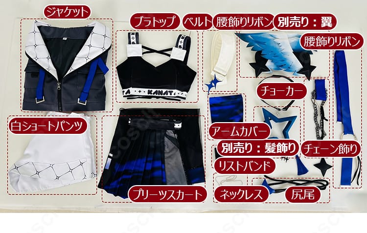 セット内容一式（ジャケット、ブラトップ、スカート、ショートパンツ、アクセ類、尻尾）の並び配置