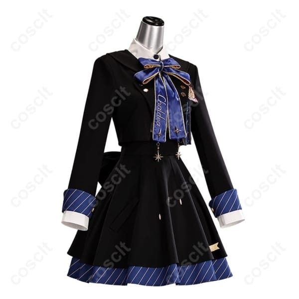 Fate/Grand Order マシュ・キリエライト 11周年記念 英霊学装 コスプレ衣装