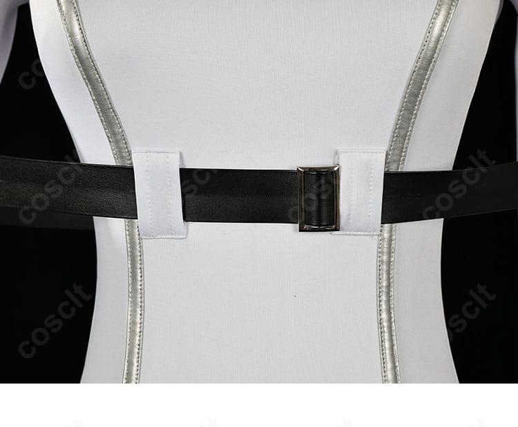 コードギアス C.C. 拘束衣コスプレ背面装飾ディテール。パネル切替とライン再現を強調した写真