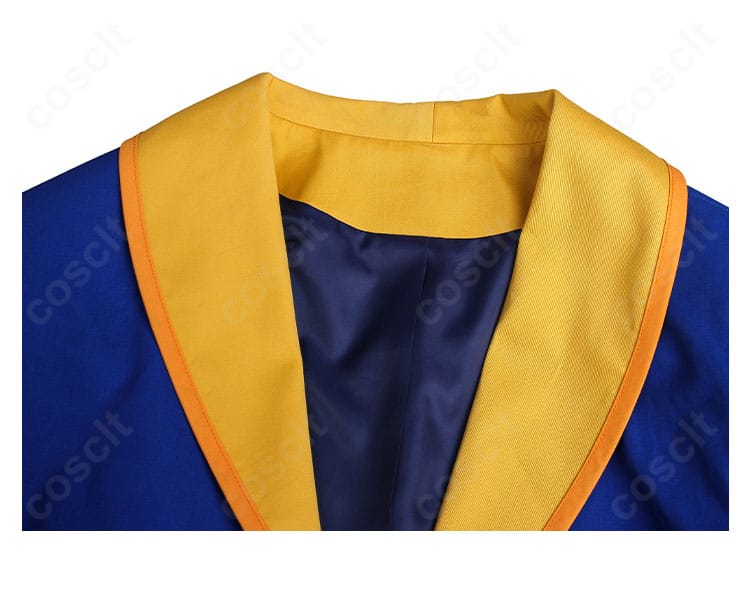 野獣（王子）コートの襟飾りディテール。上品な装飾と高発色の配色が強調されたアップ