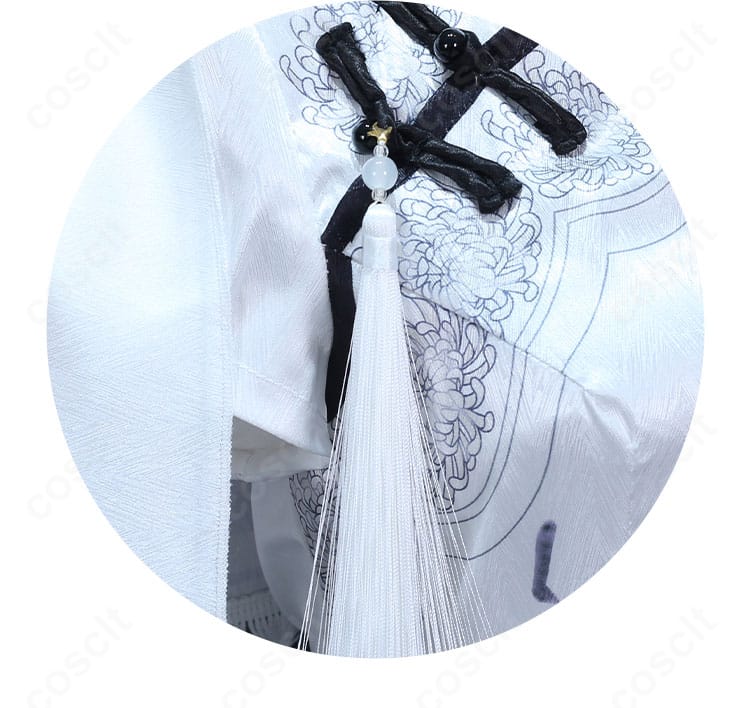 斜襟部分の装飾クローズアップ。ライン取りと留め具の意匠。