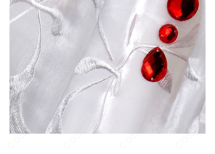 襟元の赤い宝石アップ。高級感のある差し色で存在感を強調