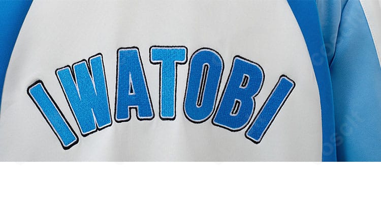 Free! 岩鳶高校水泳部ジャージ 背面ディテール。背面ロゴとパネル切替の精緻な作りを強調