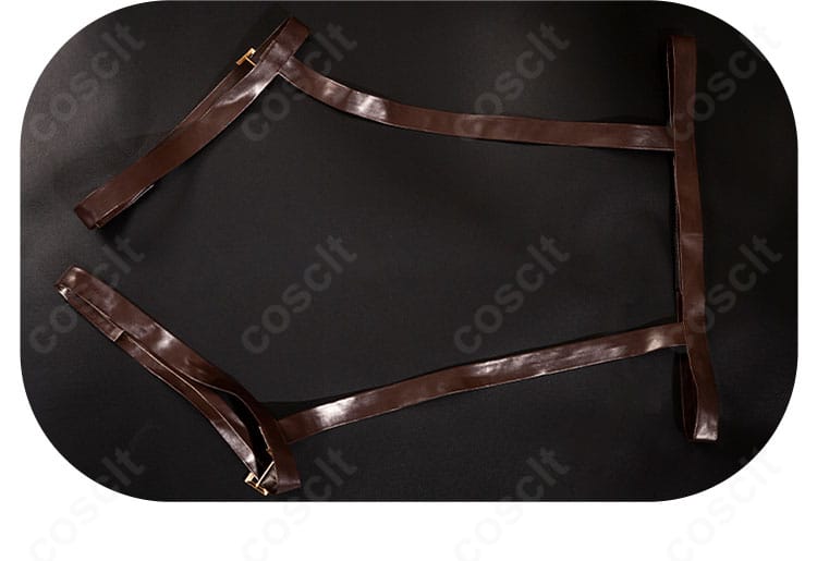 コスプレ衣装全体の装飾総覧。ワンピース、エプロン、ベルトの調和を示す詳細画像。