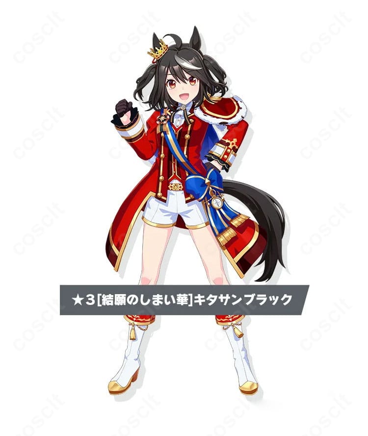 ウマ娘 プリティーダービー キタサンブラック 新勝負服「結願のしまい華」コスプレの公式風キャラクター再現イメージ