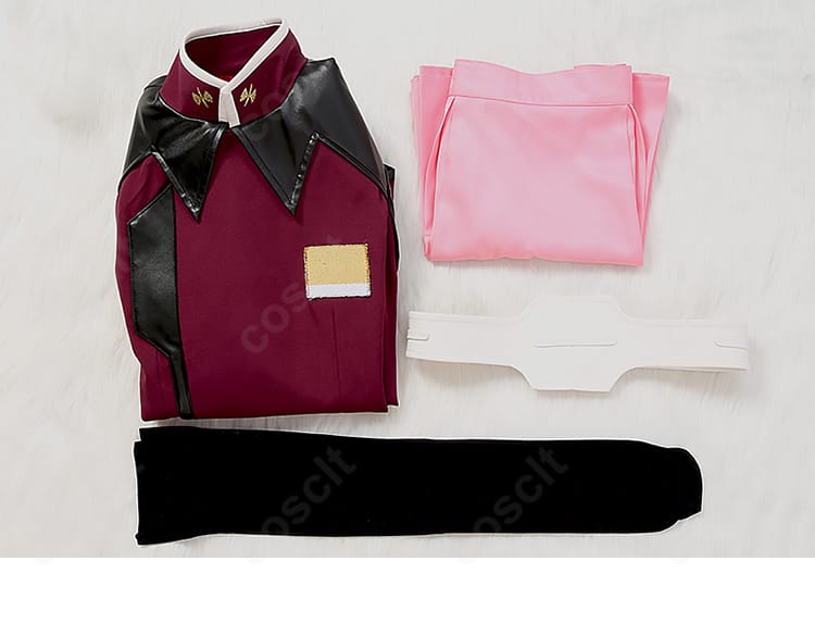 セット内容一覧:トップス、ミニスカート、ベルト、靴下。届いてすぐ使えるフルセット。