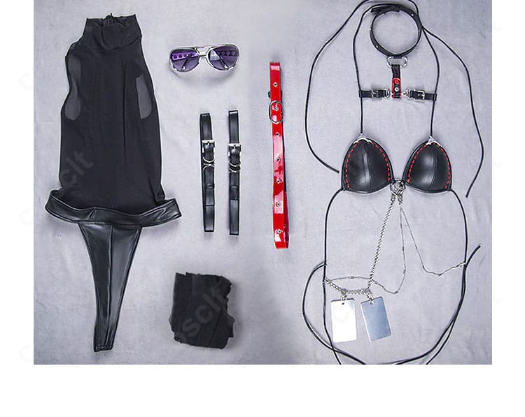 セット内容一覧：コート、レオタード、ブラ＋チョーカー＋胸飾り、太もも飾り、メガネ、胸ベルト、タイツ。