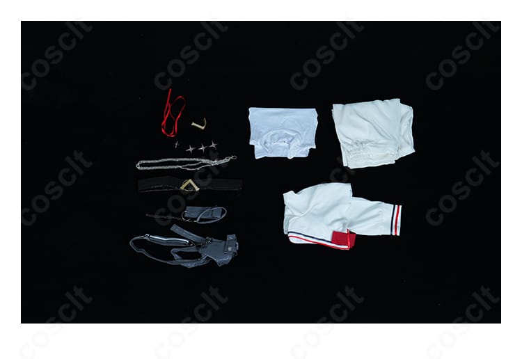 一条莉々華コスプレ衣装セット内容。上着、インナー、ズボン、ベルト、腕飾り、ポーチ、胸飾り、髪飾り、飾りチェーンの同梱一式。