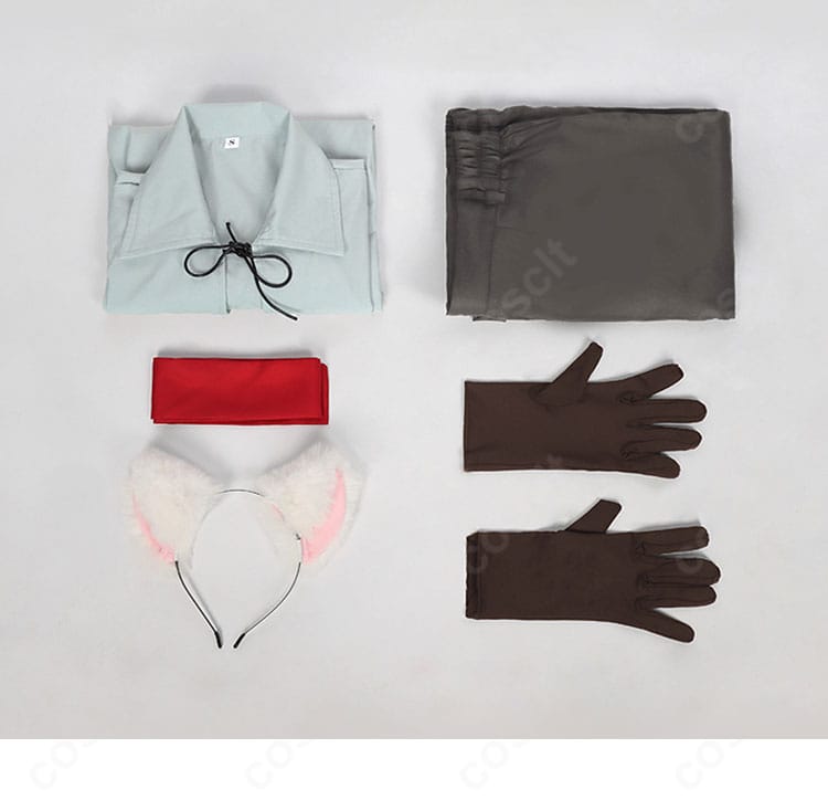 セット内容一覧：トップス・ズボン・手袋・カチューシャ・目隠しを並べた確認画像