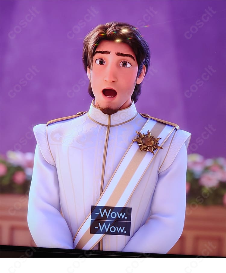 『塔の上のラプンツェル』フリン・ライダー（ユージーン）コスプレ衣装一式を着用した全身イメージ。ジャケット・シャツ・綬・胸元パーツ・パンツのセットで冒険者スタイルを高再現。