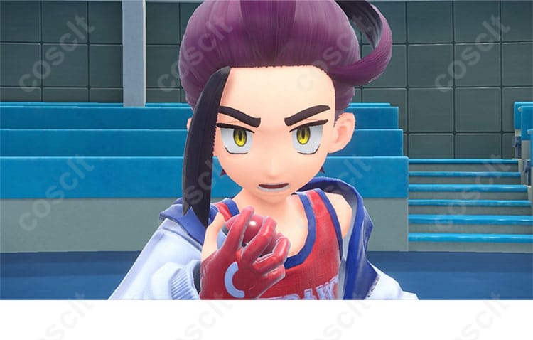 ポケモンSV ゼロの秘宝 後編・藍の円盤 スグリ コスプレ衣装 キャラクター画像