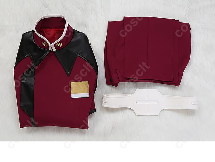 アスラン・ザラ コスプレ衣装 セット内容 - すべての必需品が揃ったコスプレセット
