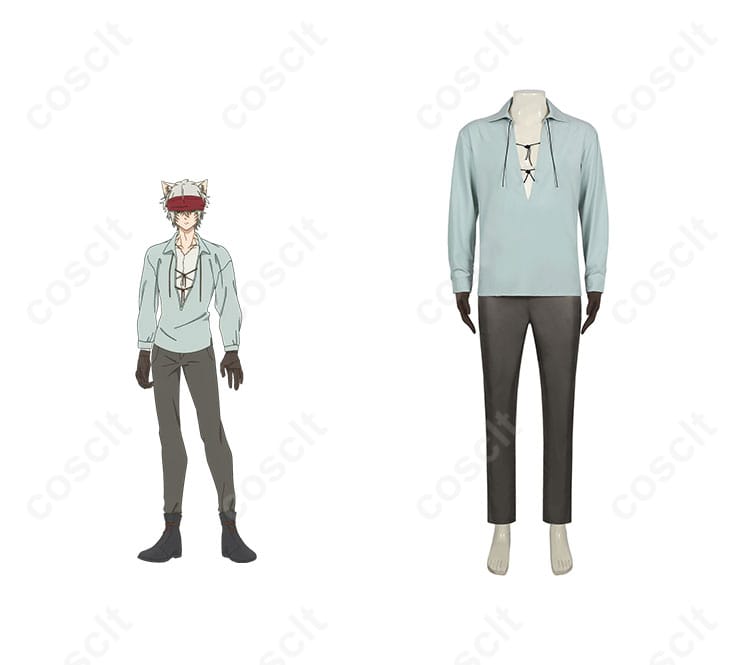 商品正面とキャラクターの組み合わせ画像、ばいばい、アースのクエスティオン＝アドニス コスプレ衣装。コスプレ衣装の全体像。